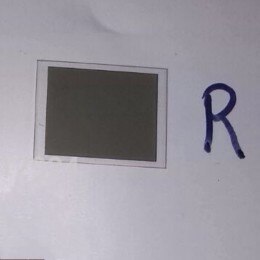 Polarizadores para proyector (tamaño 31mm * 23mm) para Epson EMP730, baratos,: Red