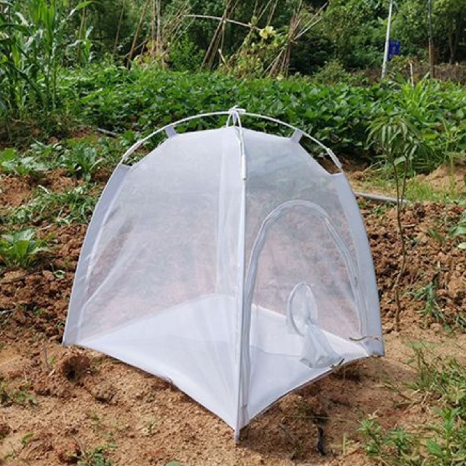 Mini serre multifonctionnel plante isolation hangar insecte-preuve tente insecte Cage intérieur et extérieur # W0