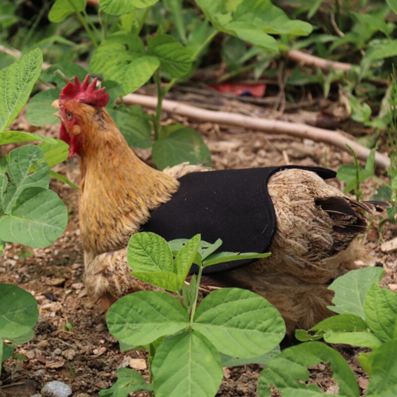 Delantal de montura de gallina y pollo, Color sólido, doble chaqueta ajustable, ropa para mascotas, chaleco, Protector trasero de plumas, suministros para mascotas, 5 uds