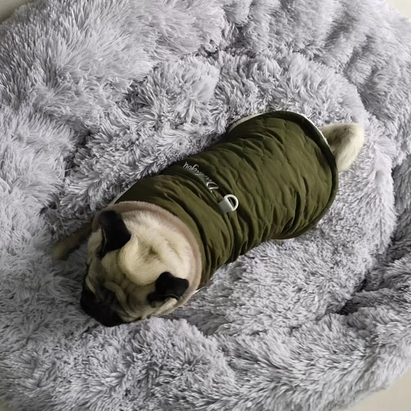 CDDMPET Waterdichte Bontkraag Hond Jas Winter Warme Fleece Hondenkleding voor Kleine Honden Puppy Huisdier Vest Chihuahua Yorkie Pug Jas