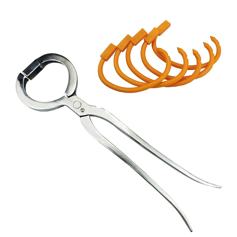 Alicates de punta de acero inoxidable para ganado, abrazadera de instalación de anillos de Nariz de vaca, caballo, herramientas de granja, 1 ud.: Plier and 10 rings