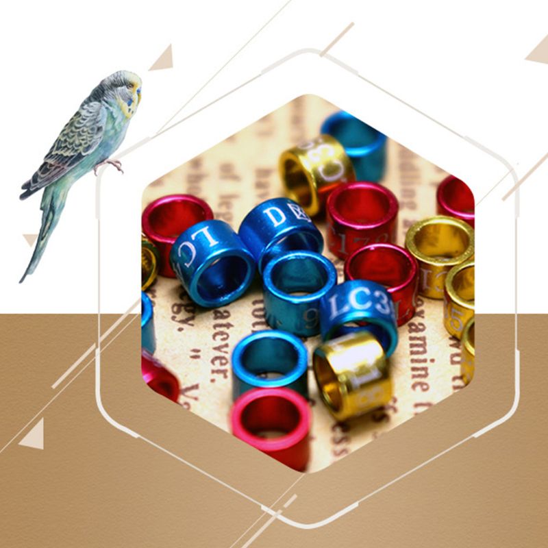 50 Pcs Mix Color Bird Foot Ring Bands Clip on Leg Rings for Pigeon Dove Chicks Bantam Quail Lovebirds Finch Small Sign