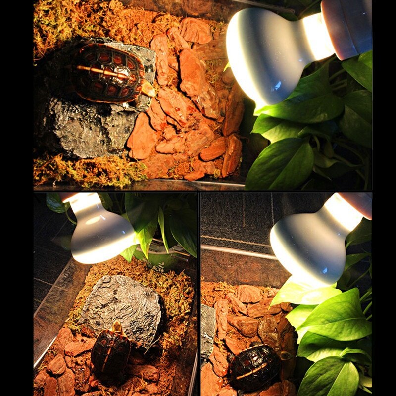 Reptile Heating Lamb Amphibian Bird Snake Lamb Red Light Night Warm Heating Insulation Lamp for Lizards Turtles Animal Lighting