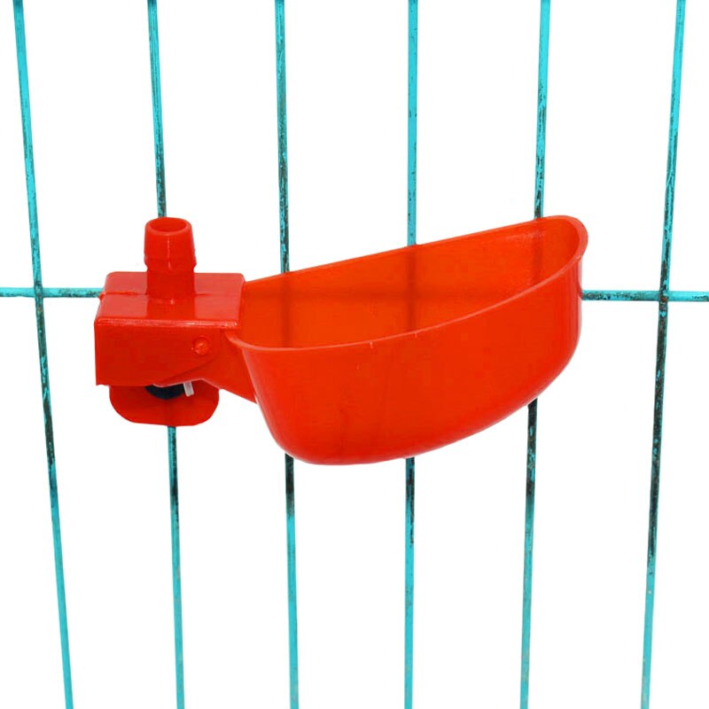 Comederos de codorniz de 5 uds., vasos para gallinas, utensilios de alimentación para aves Rojas, tazón de agua automático, suministros para apicultura y aves