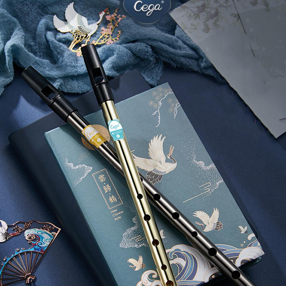 Clarinet Irish Whistle Beginner 6-hole Clarinet Tin Treble Clarinet Recorder Woodwind Musical Instrument C Tone D Tone