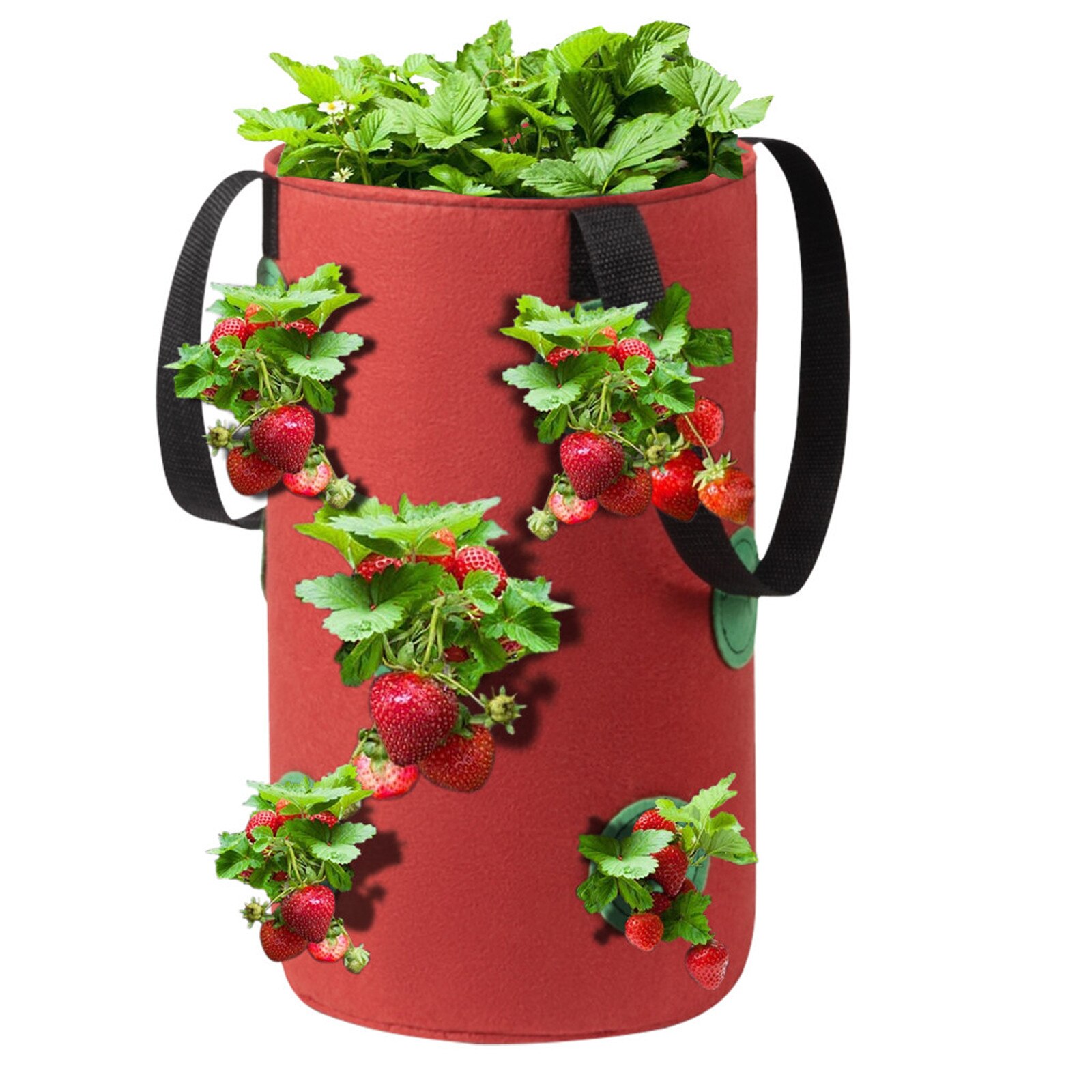 Plant Hanging Baskets Hanging Strawberry Planting Feltcloth Planting Container Bag Thicken Garden Pot Gardening Supplies