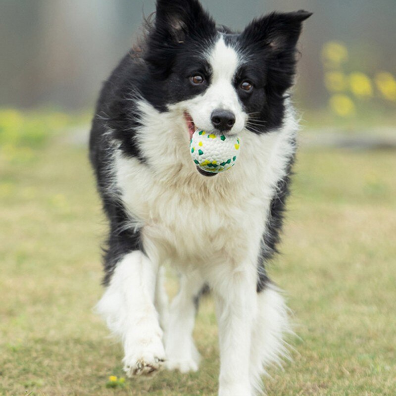 Grappige Hond Bal Speelgoed Bijten Slip Molaire Kauwen Speelgoed Voor Puppy Honden Franse Bulldog Pug Speelgoed Puppy Pet Training Producten