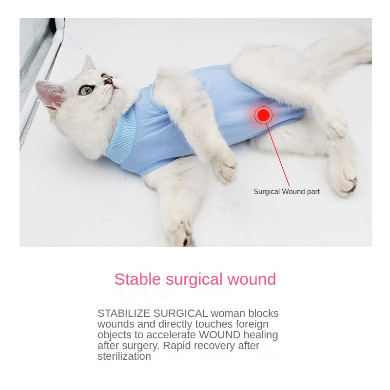 Traje de neuteración de gato para mujer, ropa postoperatoria de verano, antilamer, elasticidad, ropa de, Color puro, suministros para mascotas