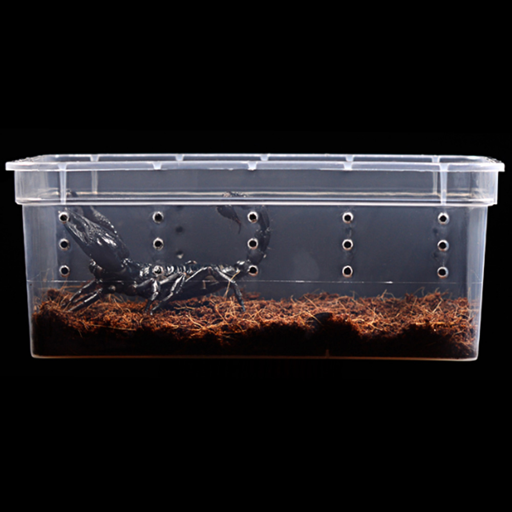 Transparente Kunststoff Box Insekt Reptil Terrariu... – Vicedeal
