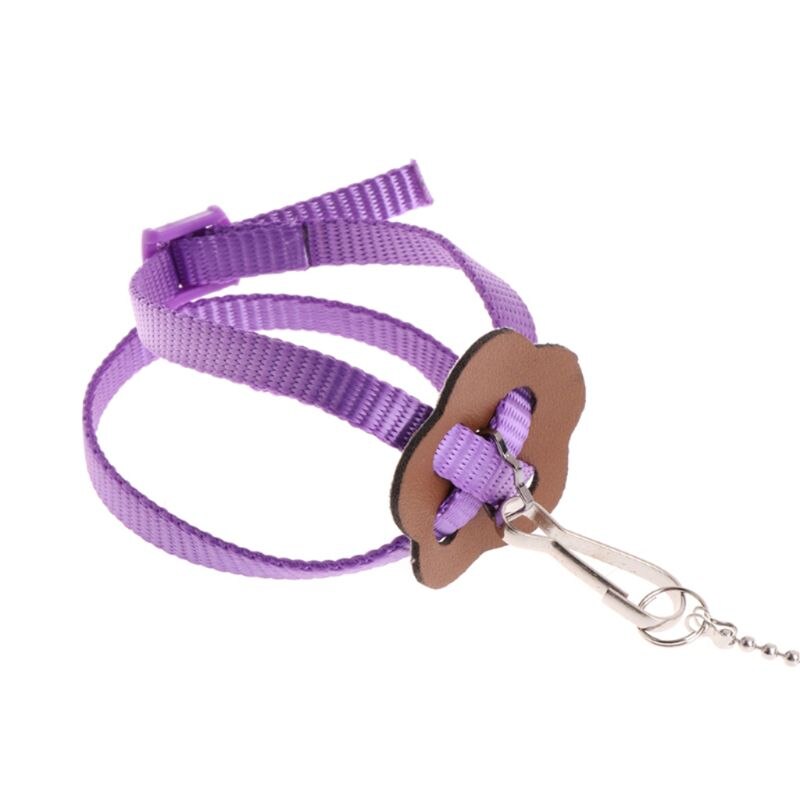 Laisse de harnais d'oiseau de perroquet pour animaux de compagnie corde d'entraînement réglable extérieure sangle de Traction Anti-vol bande souple Portable directe
