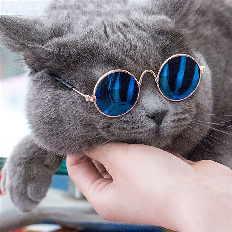 Mascotas gafas de sol perro ojo usar gafas perrito gafas fotos Accesorios para perros y gatos, suministros para mascotas para perros productos @ 5