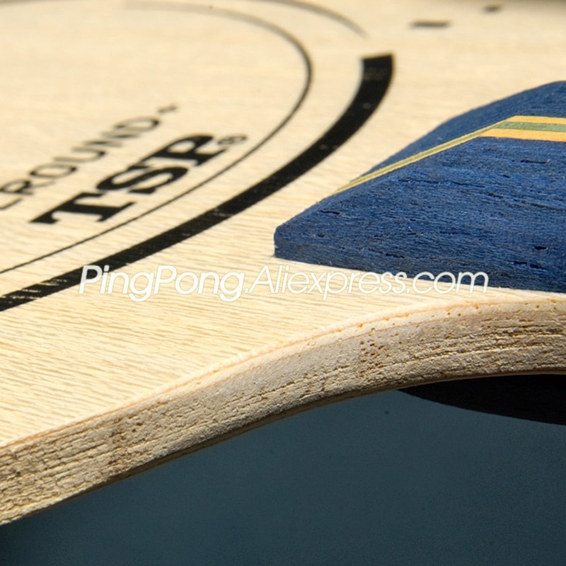 TSP SHINE Table Tennis Blade (Fish Scale KOTO, Allround+, Light Weight) ALL+ Original TSP Racket Ping Pong Bat Paddle