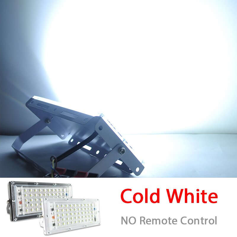 Led spotlight udendørs rgb flood light 50w ac220v vandtæt  ip66 reflektor væg projektor lampe med farve fjernbetjening: Kold hvid