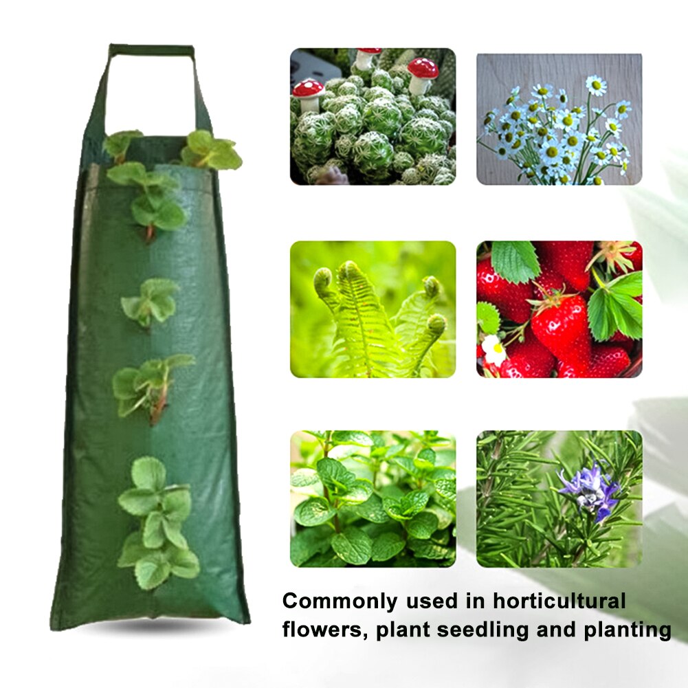 4/6/8/10 Zakken Groeien Zakken Muur Opknoping Verticale Aardbei Planten Zakken Voor Kruiden Groenten Fruit Indoor Outdoor plant Pot