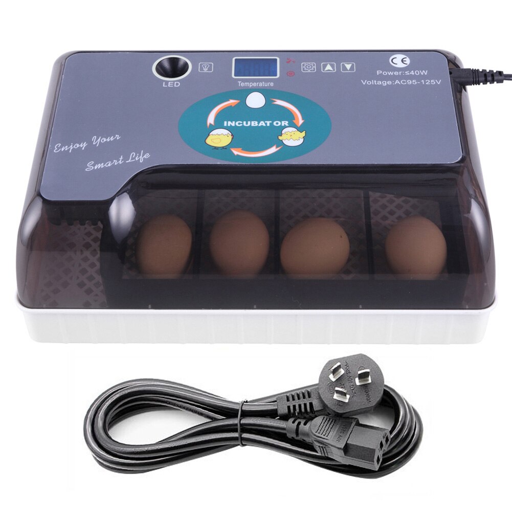 US/AU/ue/BG Plug 12 oeufs automatique ferme couvoir incubateur volaille poulet couveuse Machine nouvelle incubateur couveuse Machine