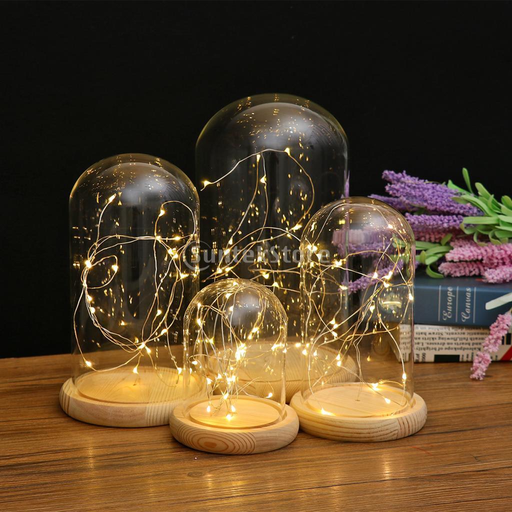 Luces LED con batería, Base de madera, campana de cristal transparente, decoración de mesa, planta, florero, contenedor, paisaje DIY en miniatura
