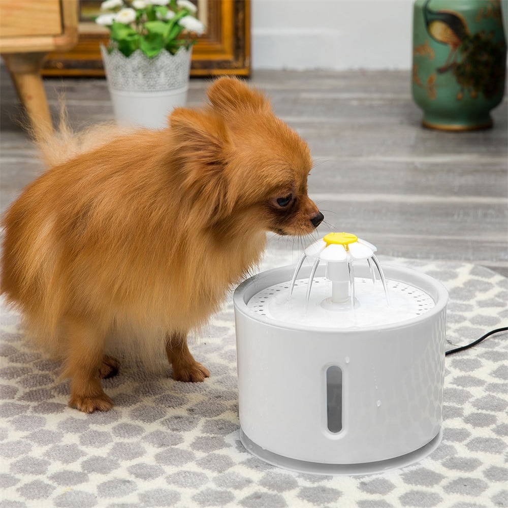 Grote drinkbak met veer, automatische waterfontein voor katten, waterdispenser voor katten, automatische voerbak, drinkfilter voor de zomer.