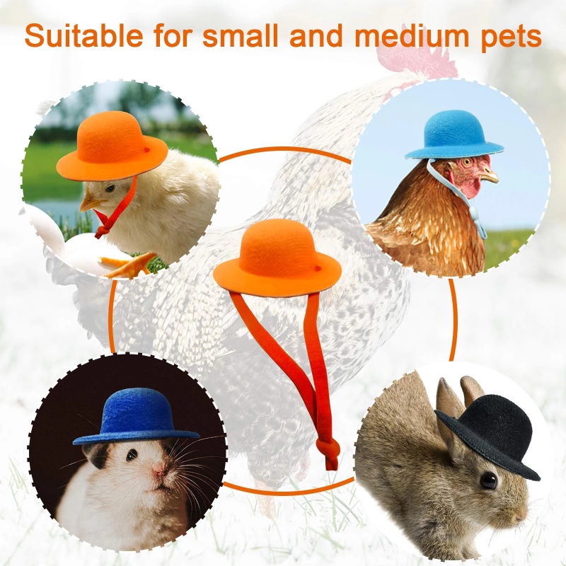 Sombrero de pollo para gallinas, mascotas pequeñas, accesorios divertidos para pollo, sombrero de copa para gallina, gallo, pato, loro, hámster, aves de corral, disfraz de espectáculo