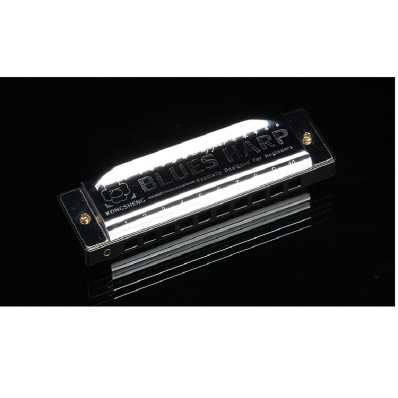 Armonica A Bocca Diatonica 24 Fori Blues Harp Chiave Reed Argento In D E Sol - Foto 2