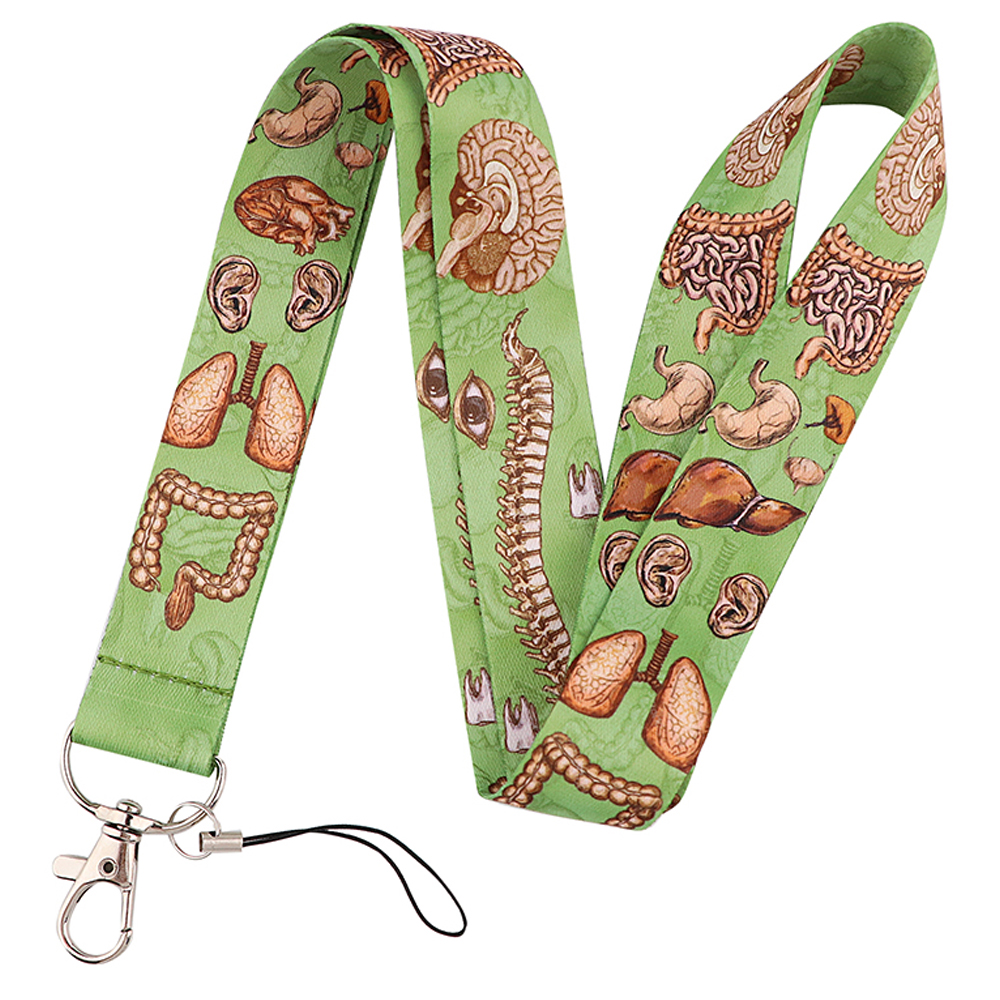 Nyckelband för mänskligt organ tandvård tandläkare halsrem kort id-korthållare nyckelring nyckelring tillbehör läkare sjuksköterska: Röd