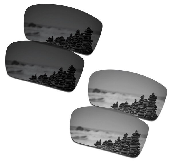 SmartVLT 2 Pairs Gepolariseerde Zonnebril Vervanging Lenzen voor Oakley Gascan Stealth Zwart en Zilver Titanium: Default Title
