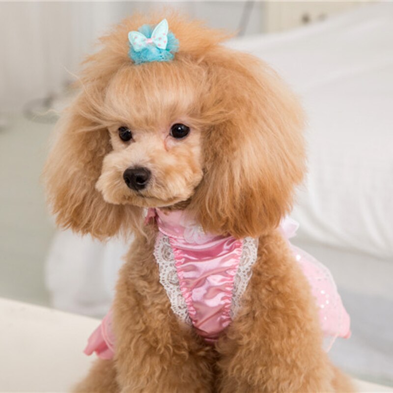 Dot Strik Willekeurige Kleuren Kant Hond Hair Bows Hondentondeuse Voor Hond Puppy Pet Cat Strik Puppy Haar Clip