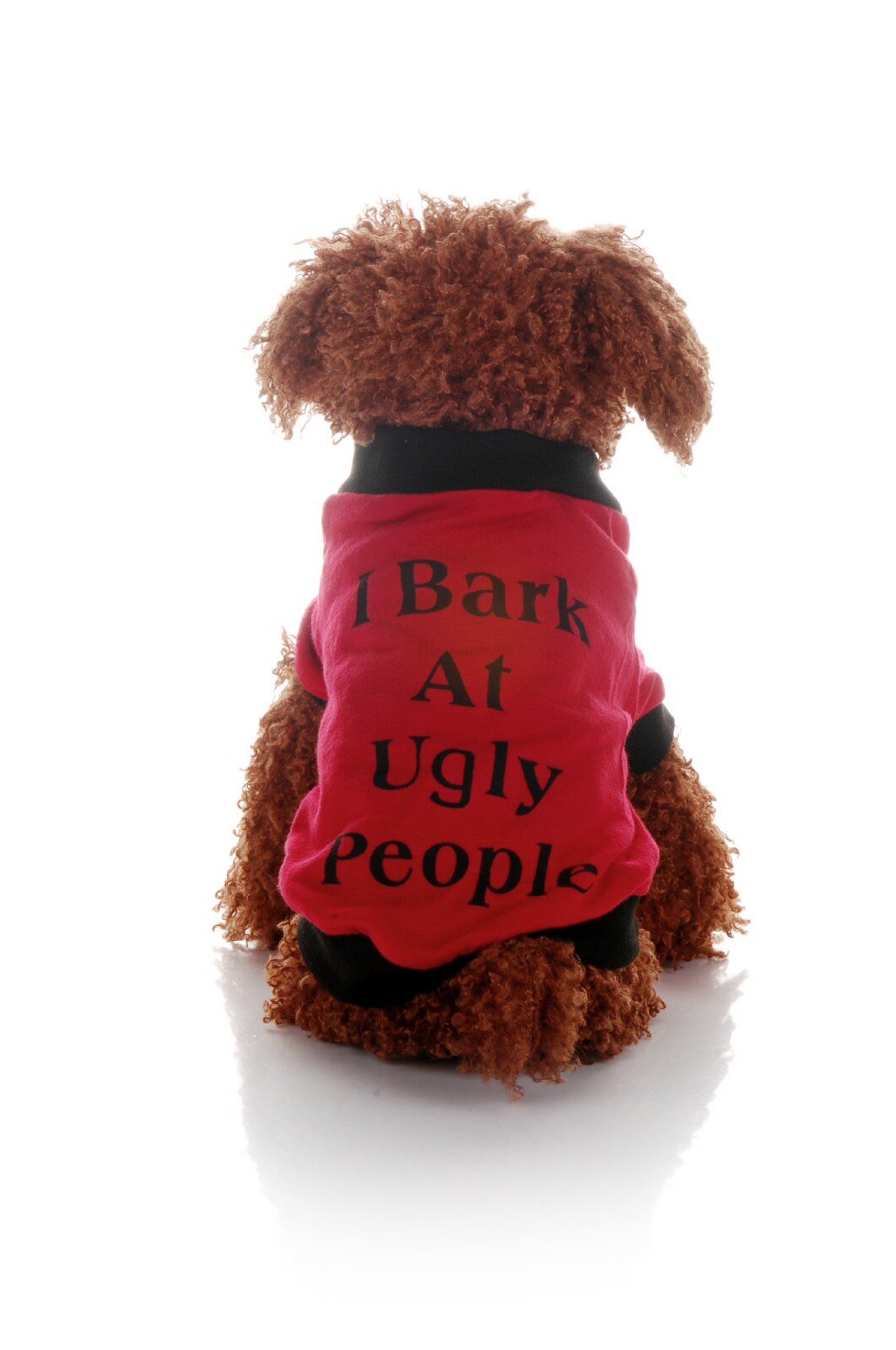 Dog Cats Clothes Pet Jacket Coats Casual Warm T Shirt Autumn Winter Sweatshirt for Pets Puppies For Small Large Dogs Clothing: XL