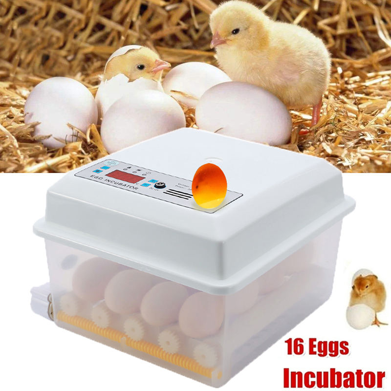 16 Egg Automatic Incubator Brooder 110V/220V DC12V Digital Mini Brooder Machine with Turner Hatcher Chicken Incubation Equipment