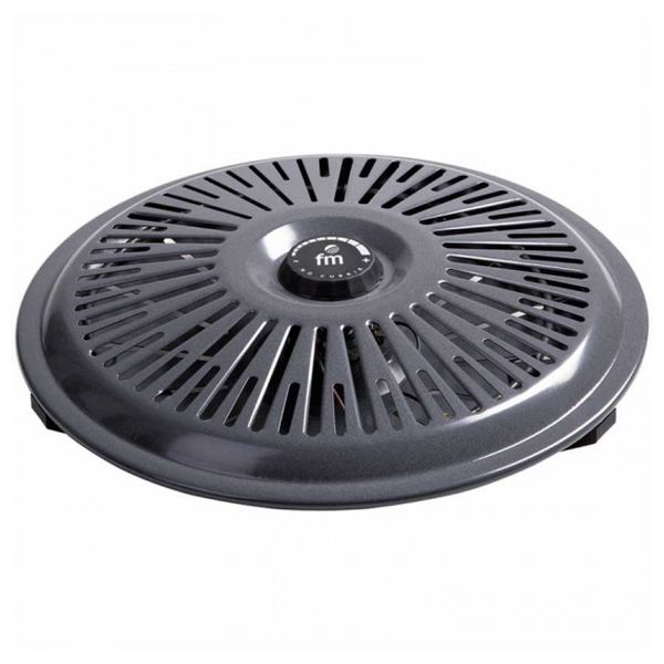 Brasero Grupo FM B-750 700W Gris