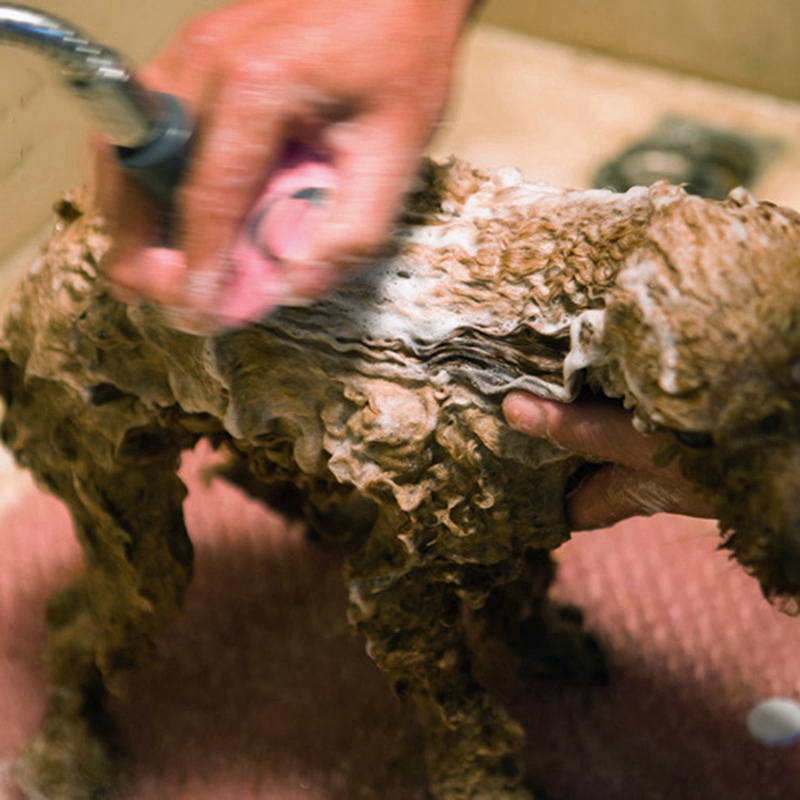 Pet Bathing Tool Comfortable Massager Shower Tools Cleaning Washing Bath Sprayers Hand Massage Dog Long Hose Brush /