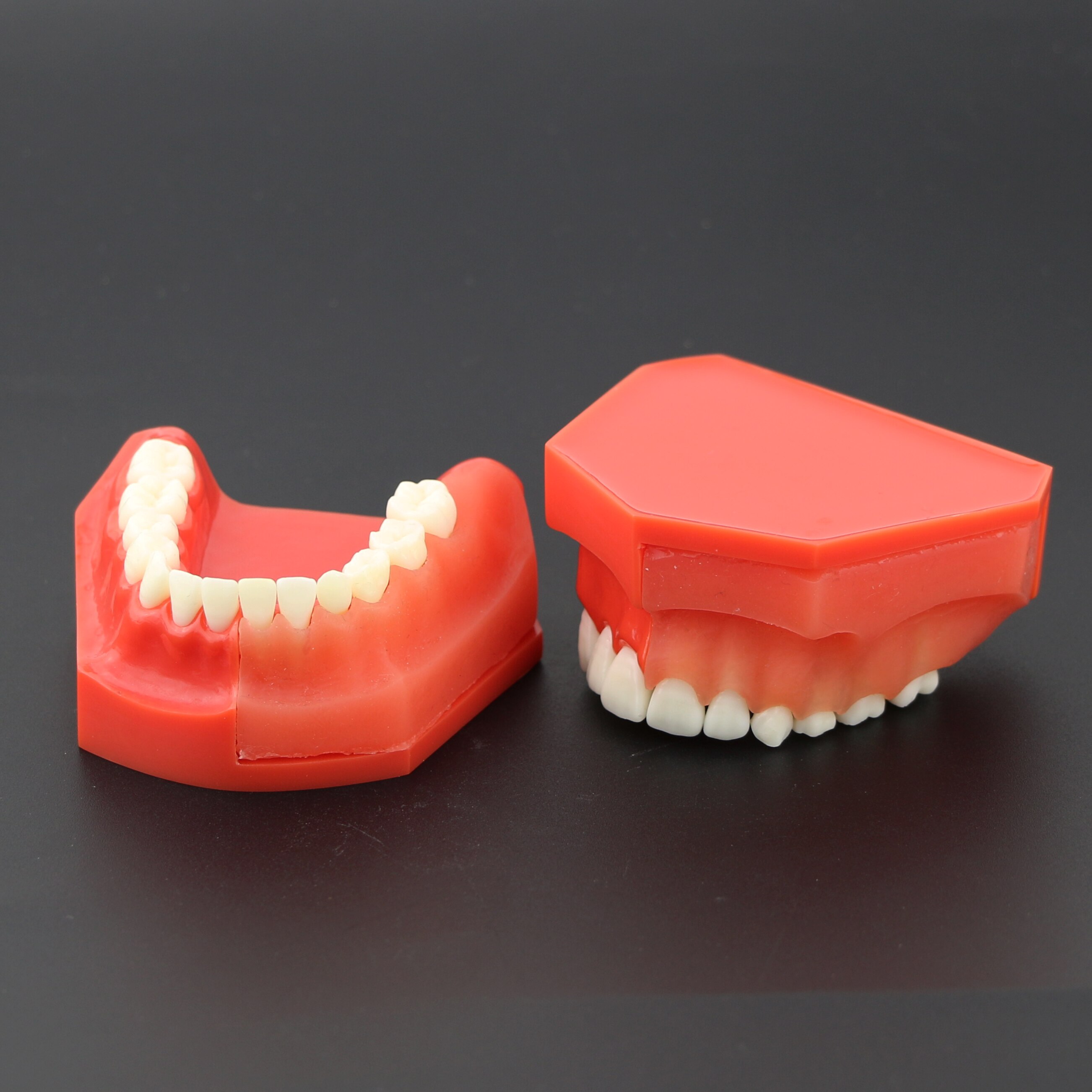 Dental Teeth Model M7013 Typodont Pediatric Development 9-12 Years Constant Teeth Grow Replace Demo Anatomy Teaching Study