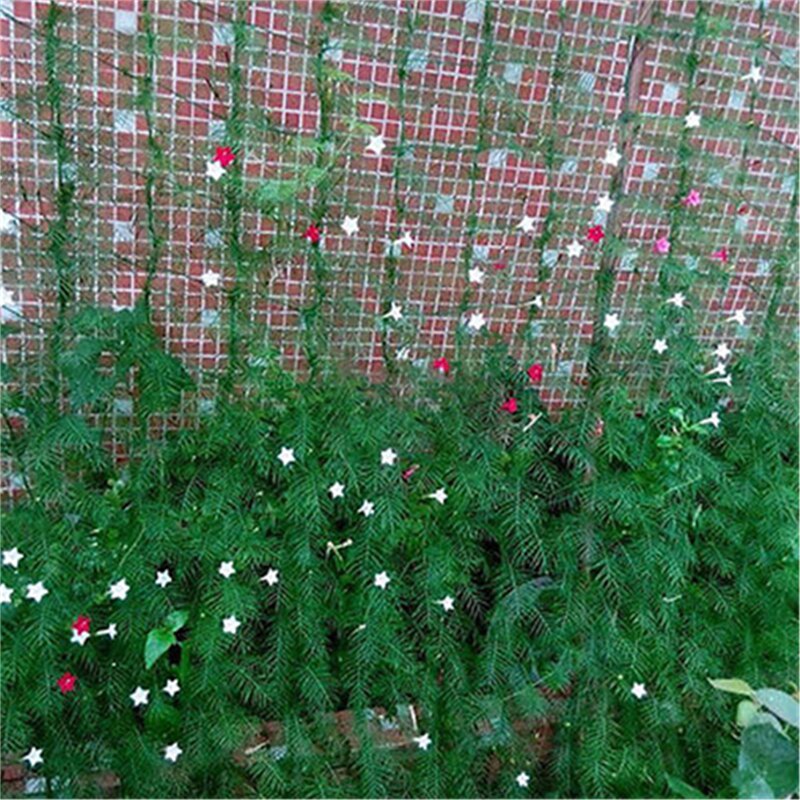 1 stk hage grønn nylon espalier netting støtte klatrebønne plantenett vokse gjerde