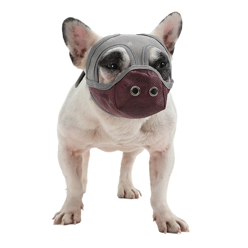 Bulldog Mouth Set Flat Face Dog Anti-bite Mask pet Comfortable and Breathable Dog Muzzle Adjustable Dog Muzzle Supplies: Grey face red / S