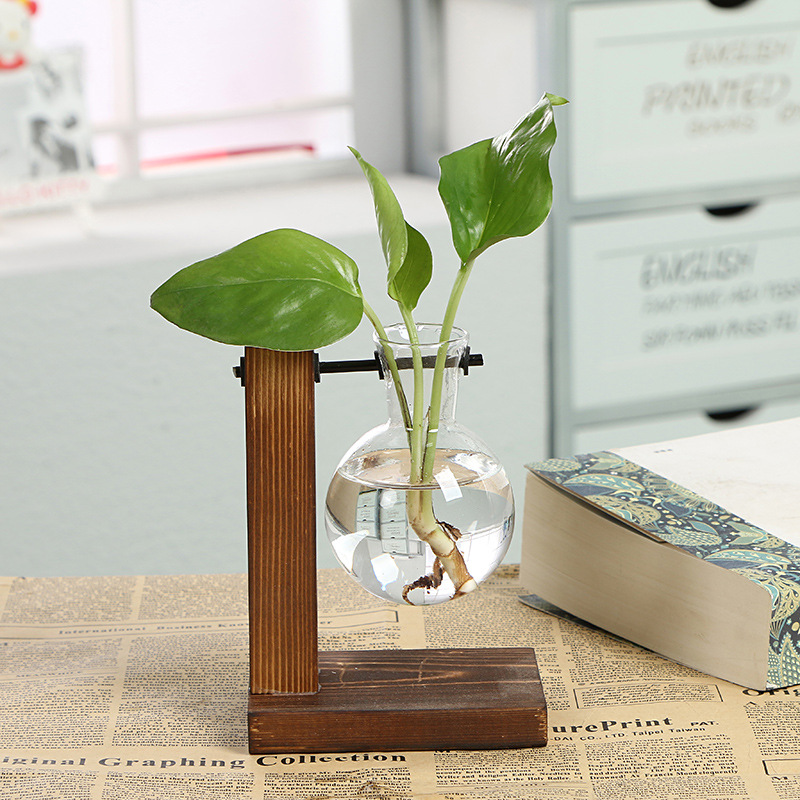 Jarrones hidropónicos de terrario para plantas, maceta Vintage, jarrón transparente, marco de madera, mesa de cristal, plantas, bonsái para el hogar: SingleBottle