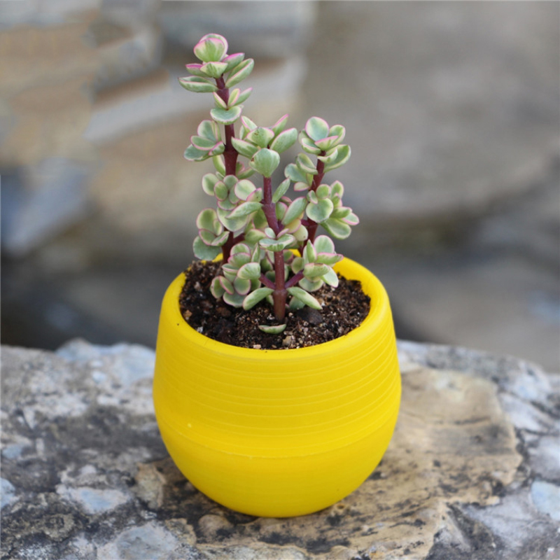 Plateaux de Pot de pépinière colorés créatifs Mini plantes en Pot Pots de fleurs jardinières pour plantes succulentes bureau à domicile Pots de fleurs de bureau: Jaune