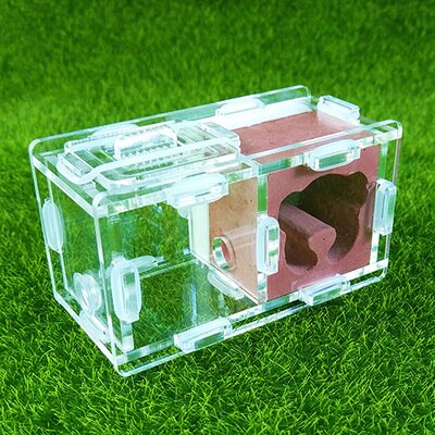 Maur slott maur spleise slott bionisk akryl gips maur reir kjæledyr maur slott verksted hjem maur reir: X3