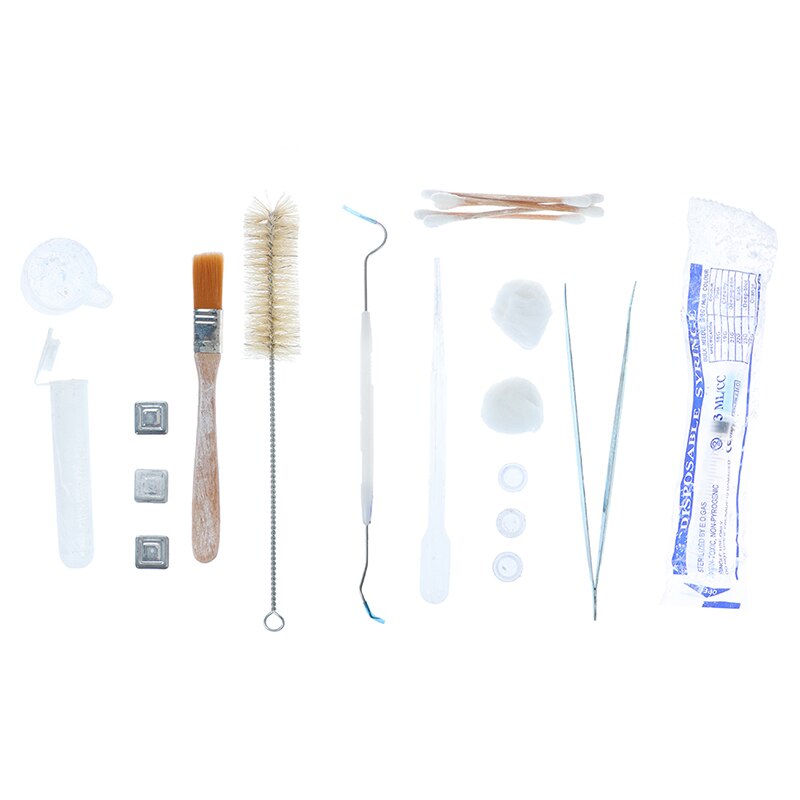 13 in 1 set Acrylic Ant Farm Tools Pet Anthill Ants House Supplies Ant Nest