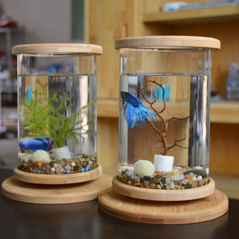 Manual Rotating Glass Fish Tank with Base Mini Cylinder Desktop Aquarium for Betta Diameter 10 cm Height 15 cm