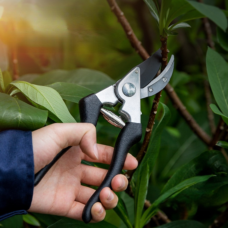 1 Pz Potatore Forbici Da Giardino Professionale affilato circonvallazione Cesoie Da Potatura rifinitore per Alberi Cesoie A Mano clipper per Attrezzi Da Giardinaggio