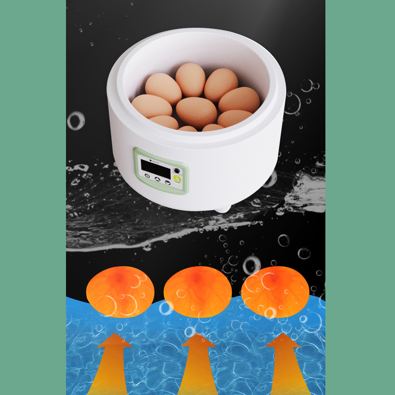 Incubadora de 9 huevos, incubadora portátil de aves de corral, incubadora de huevos automática Digital para incubar, cama de agua biónica de plástico, huevo de pájaro de granja