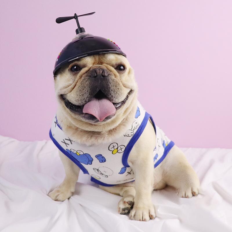 Valp hund hatt hundhjälmar små husdjur coola plast utomhus kepsar för motorcyklar foto rekvisita husdjur tillbehör ridkeps