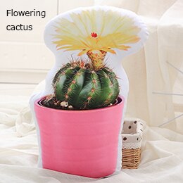 Planten Vormige Pluche Kussen Sofa Stoel Rij Decor Bloeiende Bal Cactus Aloë Goniopora Involucrata Vrienden Ht: Flowering cactus