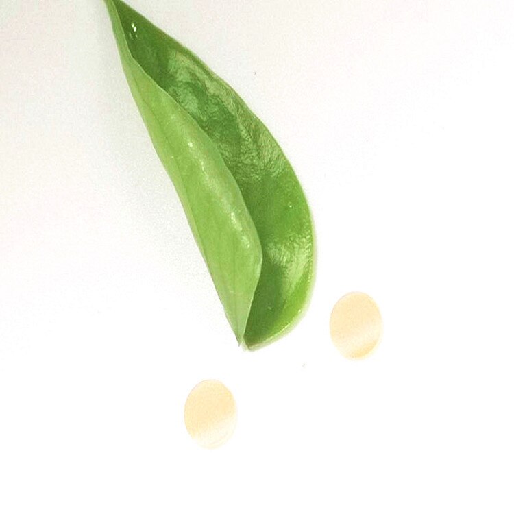 ultra fioletowy filtr 360 wąska zespół filtr fluorescencyjny wykrycie filtr