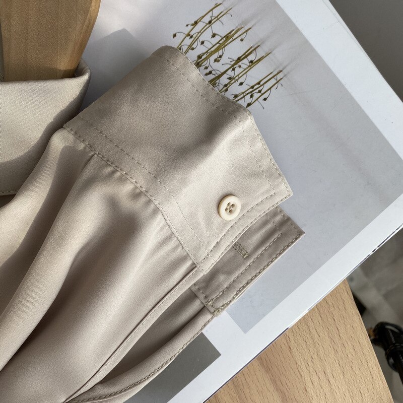 Blouse Womens Long Sleeve Turn-down Collar Shirt Spring Autumn Office Wear Ladies Casual Tops