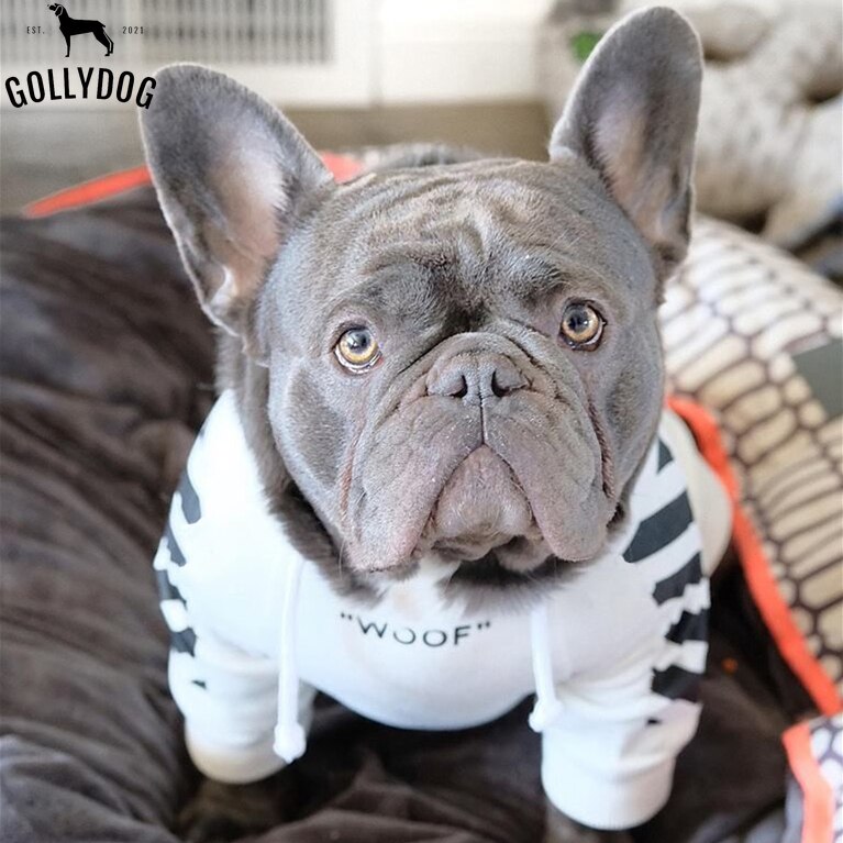 Französisch Bulldogge Kleidung Hund Hoodie Adidog Warme Sport retro Hund Hoodies Haustier Kleidung Welpen Hund Möpse Welpe Kleidung Chihuahua