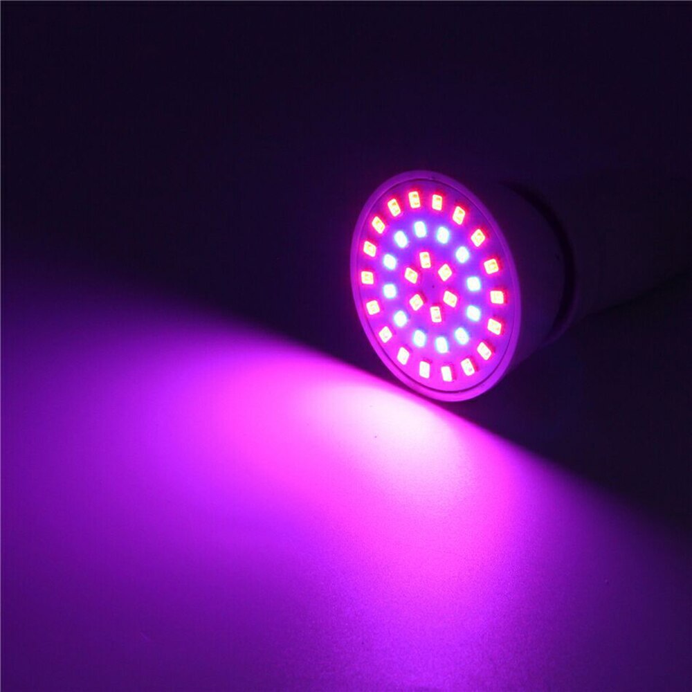 Grow Light E27/GU10/MR16 220V Phyto Lamp Full Spectrum LED Grow Light Bulb 36 54 72Leds For Indoor Garden Plants Flower Grow