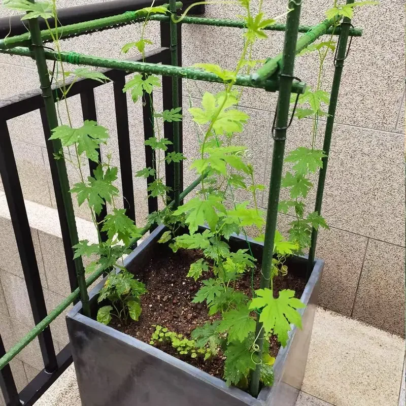 Garden Trellis Clips Metal Plant Vine Stakes Connectors Climbing Frame Buckles for Tomato Cucumber Eggplant Vegetable Support