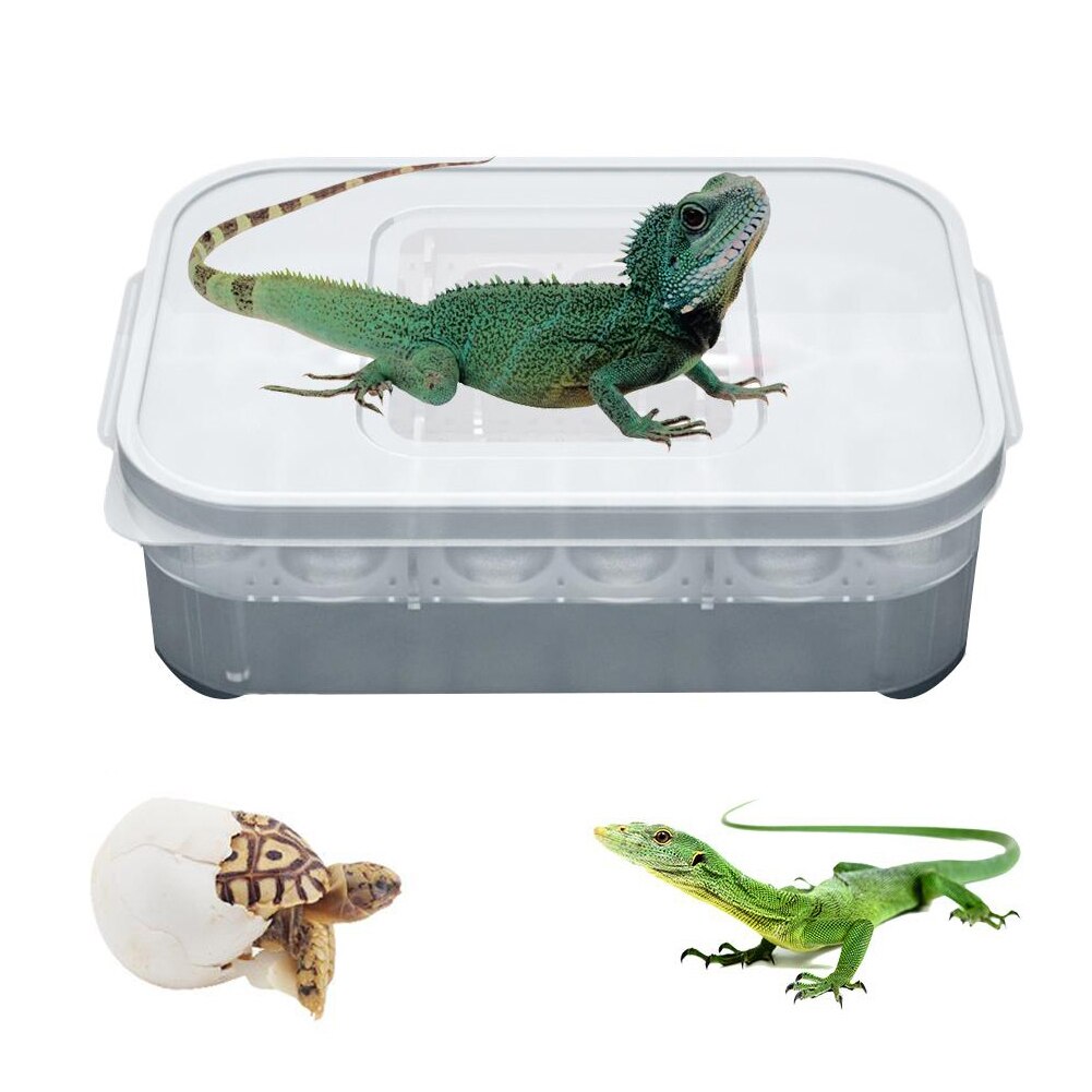 Kæledyr krybdyr firben gecko slange 12 gitre rugeræger avlskasse kasse inkubator til skildpadder, fugle, firben, små slanger