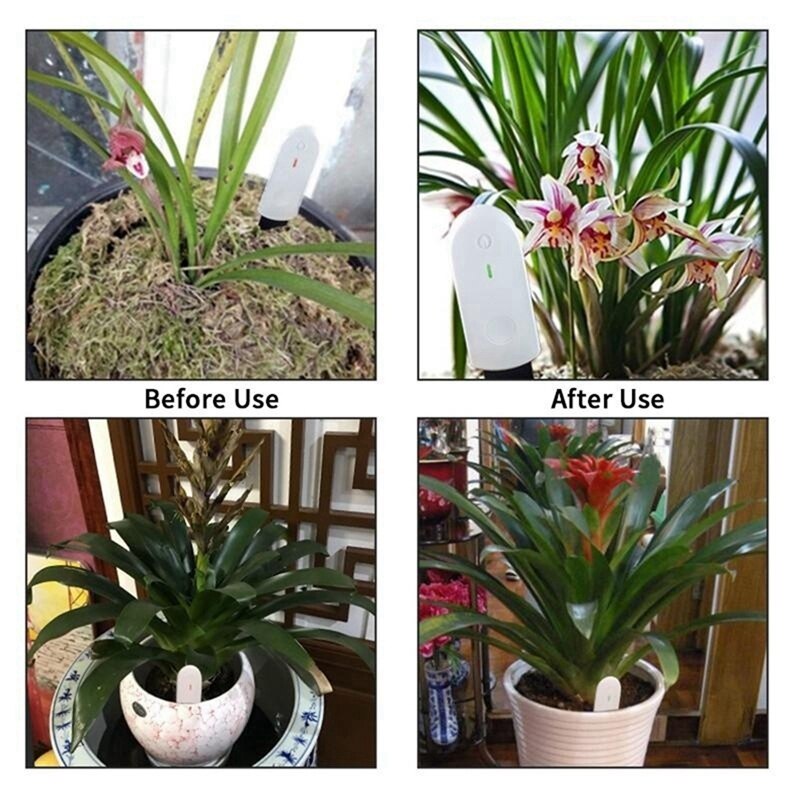 Vocht Sensor, Waterdichte Compact Indicator, Vochtmeter, Vocht Tester Voor Planten En Bloemen