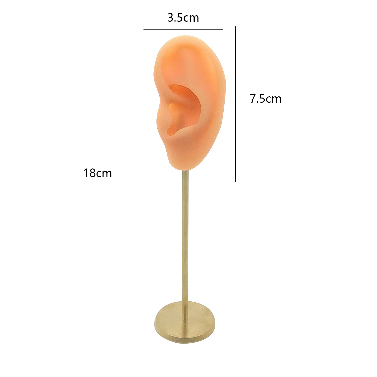 Soportes de exhibición duraderos para pendientes, modelo de oreja humana, soporte para perno prisionero, Base redonda de silicona suave, soporte para maniquí de cumpleaños, organizador de pendientes
